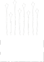 EUROPEAN FLAX